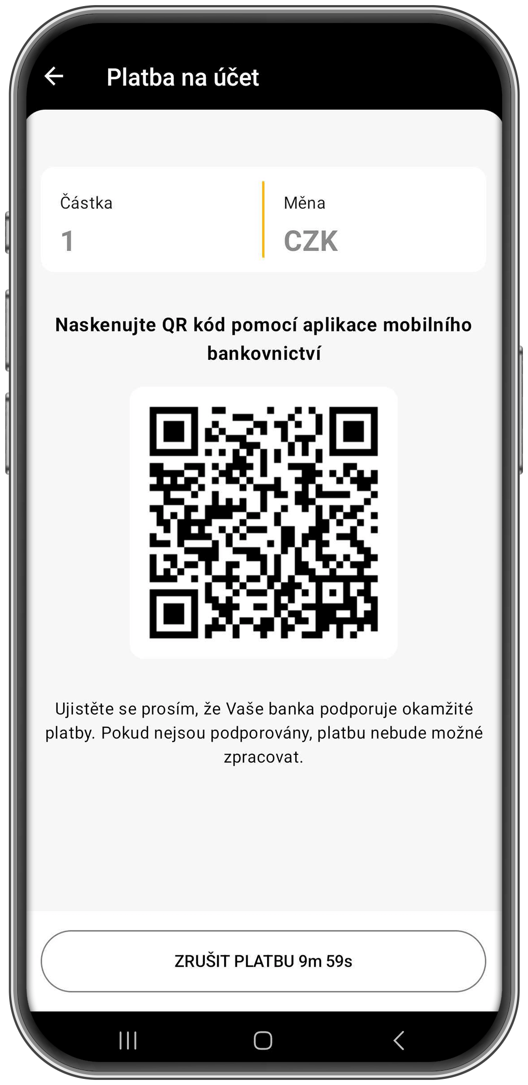 platba přes qr kod